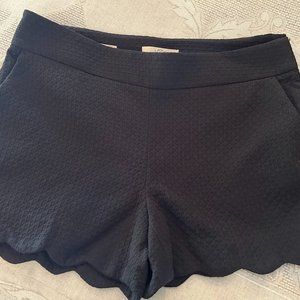 LOFT black textured knit shorts